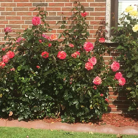 Appartement Haus Sabine Butjadingen
