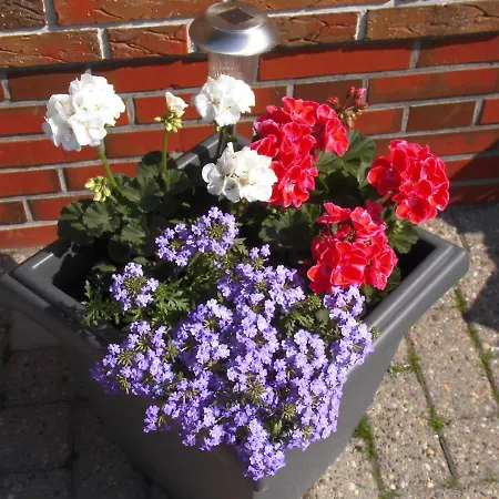 Apartament Haus Sabine