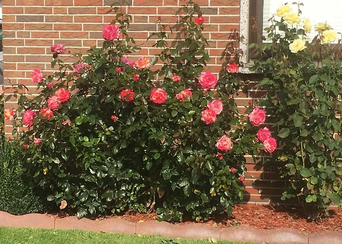 아파트 Haus Sabine 부차딩엔