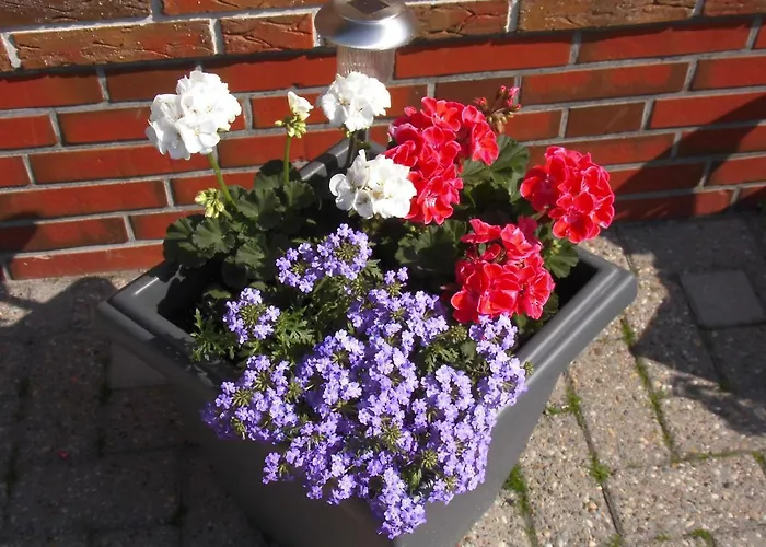 아파트 Haus Sabine